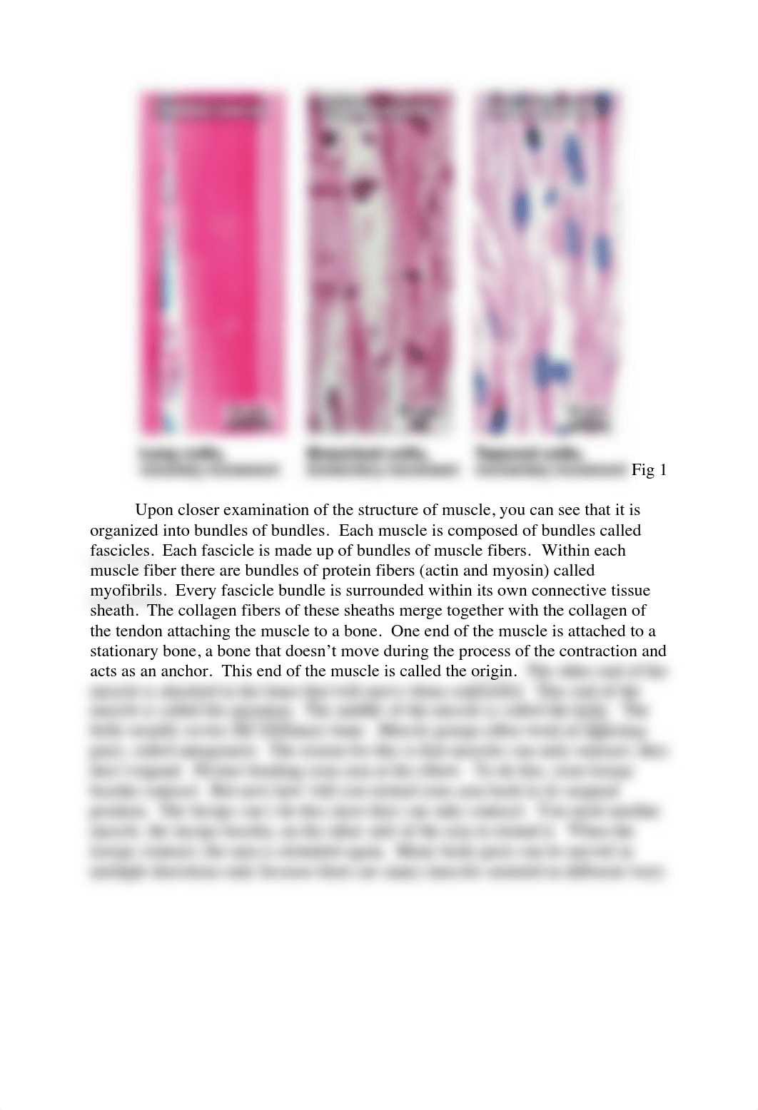 3 Muscles and Muscle Action.pdf_dinf1ah47kh_page2