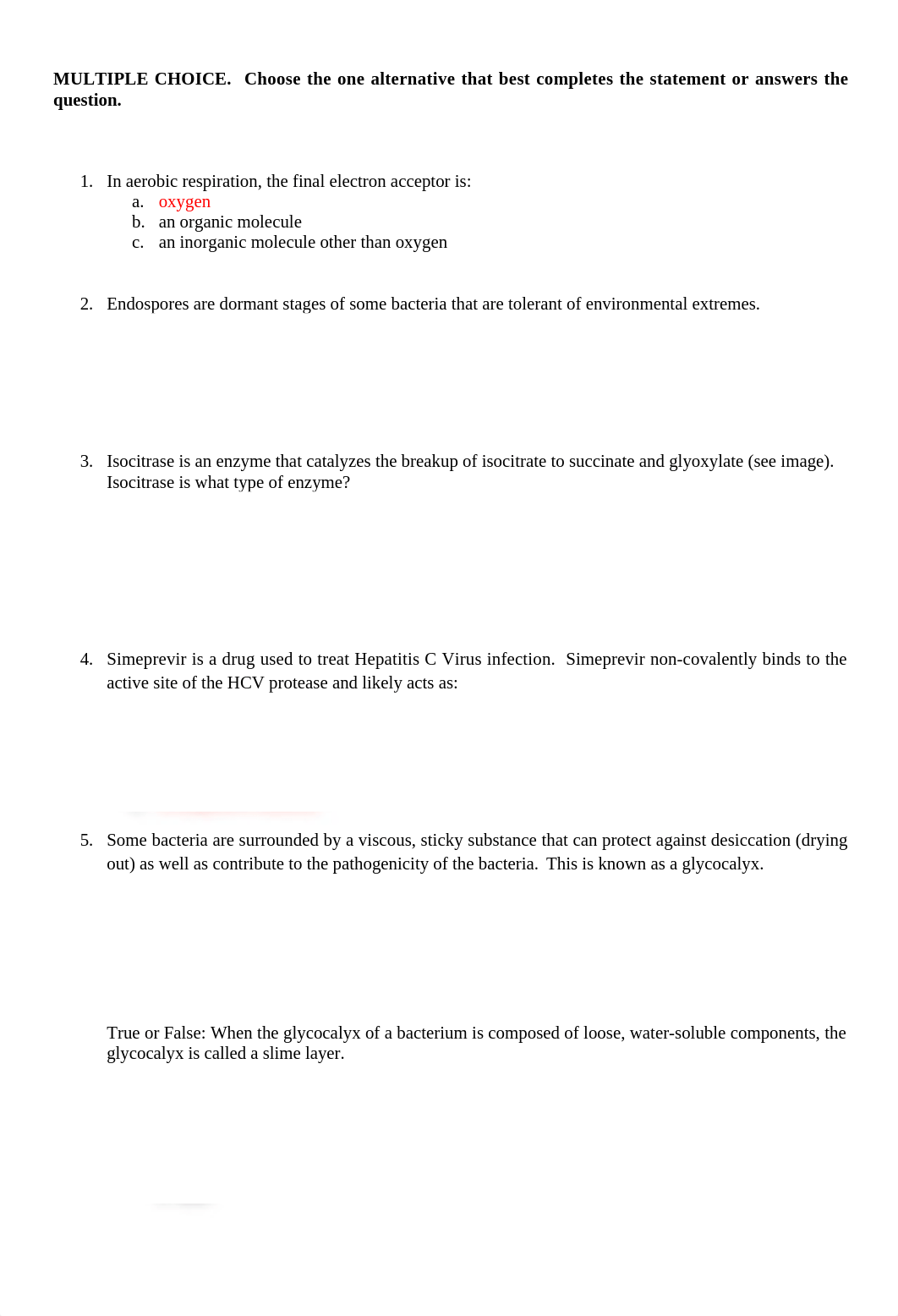 More Practice Questions.docx_dinrhmcgebe_page1