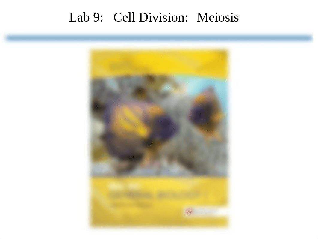 Bio 101_Lab 9 Meiosis Drawings_Spring 2020 (2).pptx_dinvesdl60r_page1