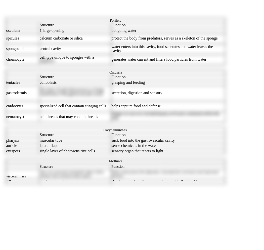 Animal Diversity Structure and Function Table.xlsx_dinyt93bw5l_page1