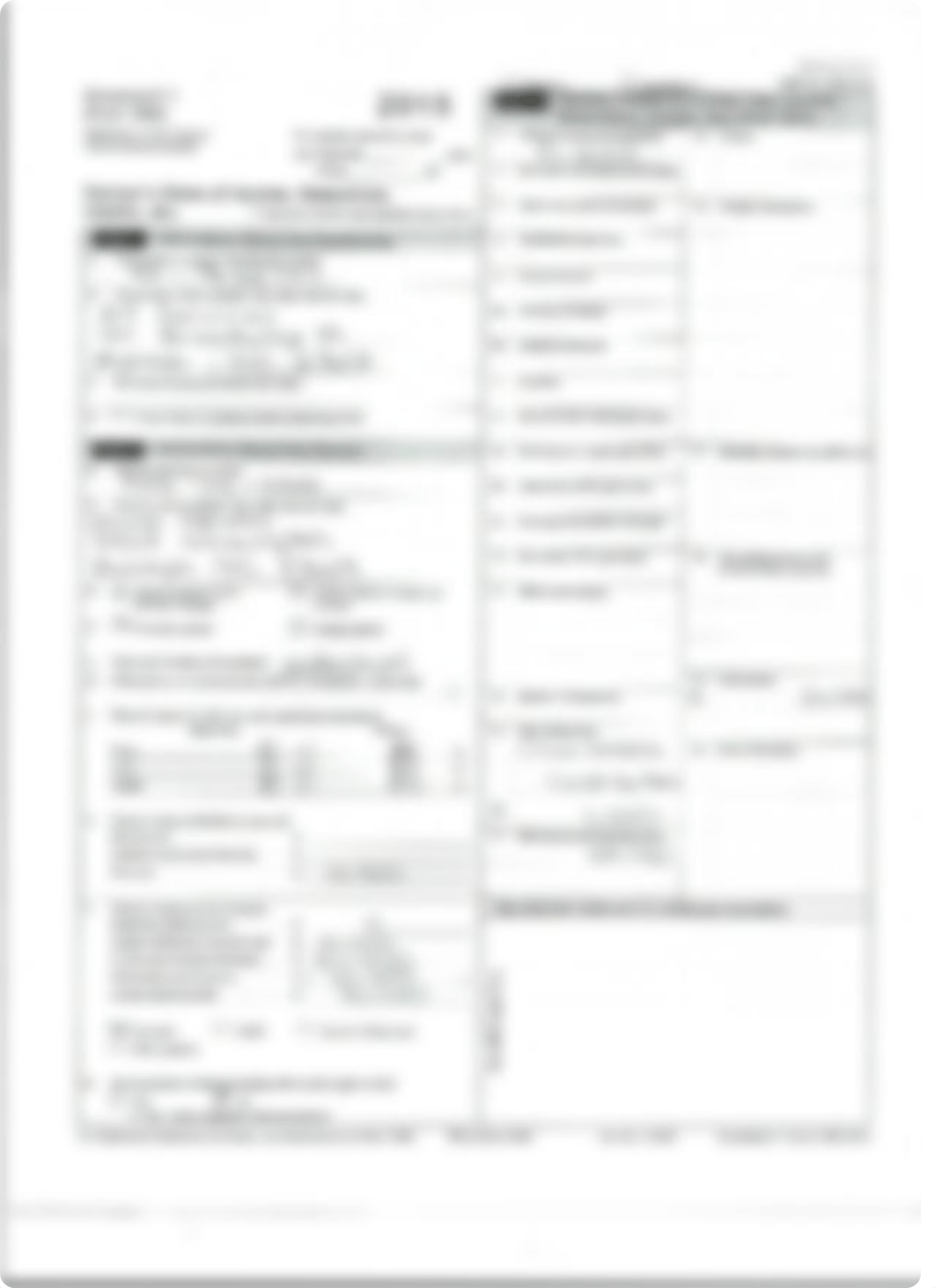 Schedule K1 Test Pt2_diog1arrppp_page2