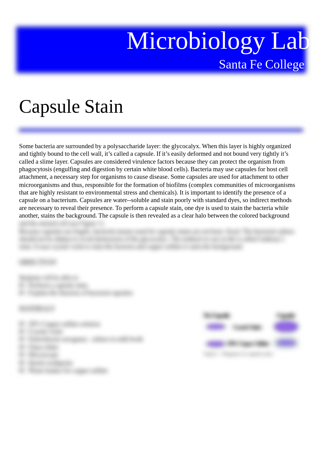 09 Capsule stain.pdf_diohaqb1rbw_page1