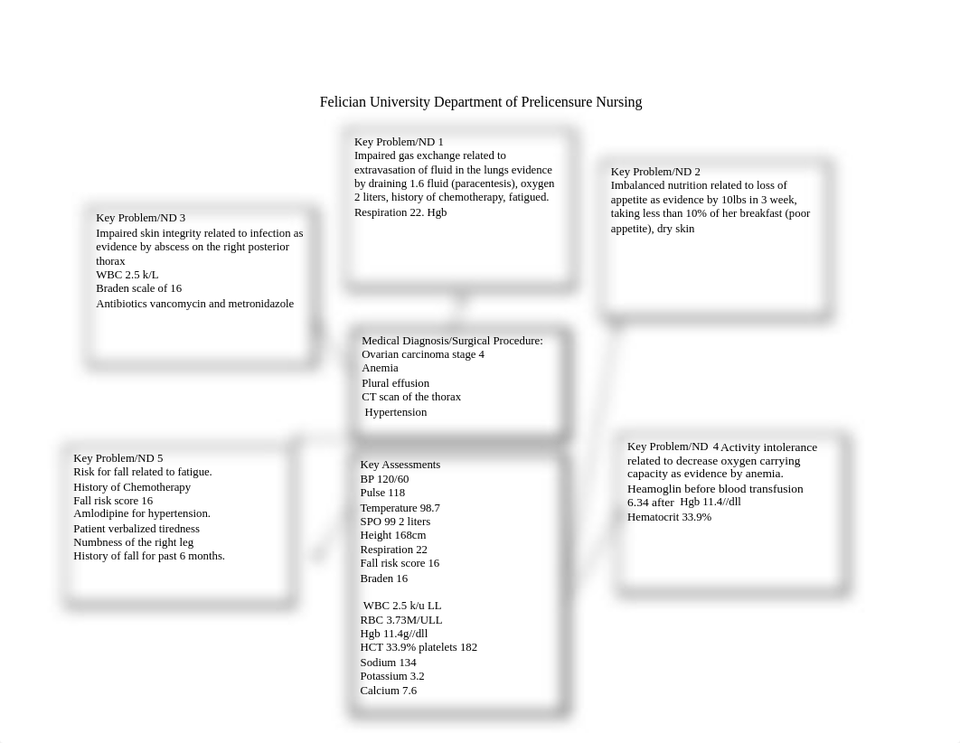 concept map med surg .docx_diolcoinq3v_page2