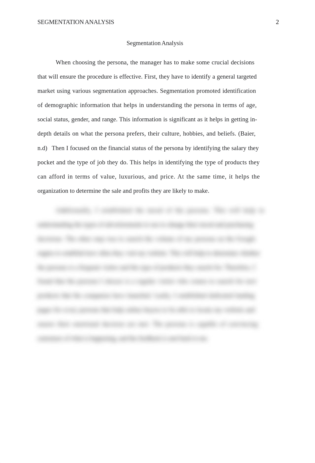 Segmentation Analysis.docx_diomb4pcezo_page2