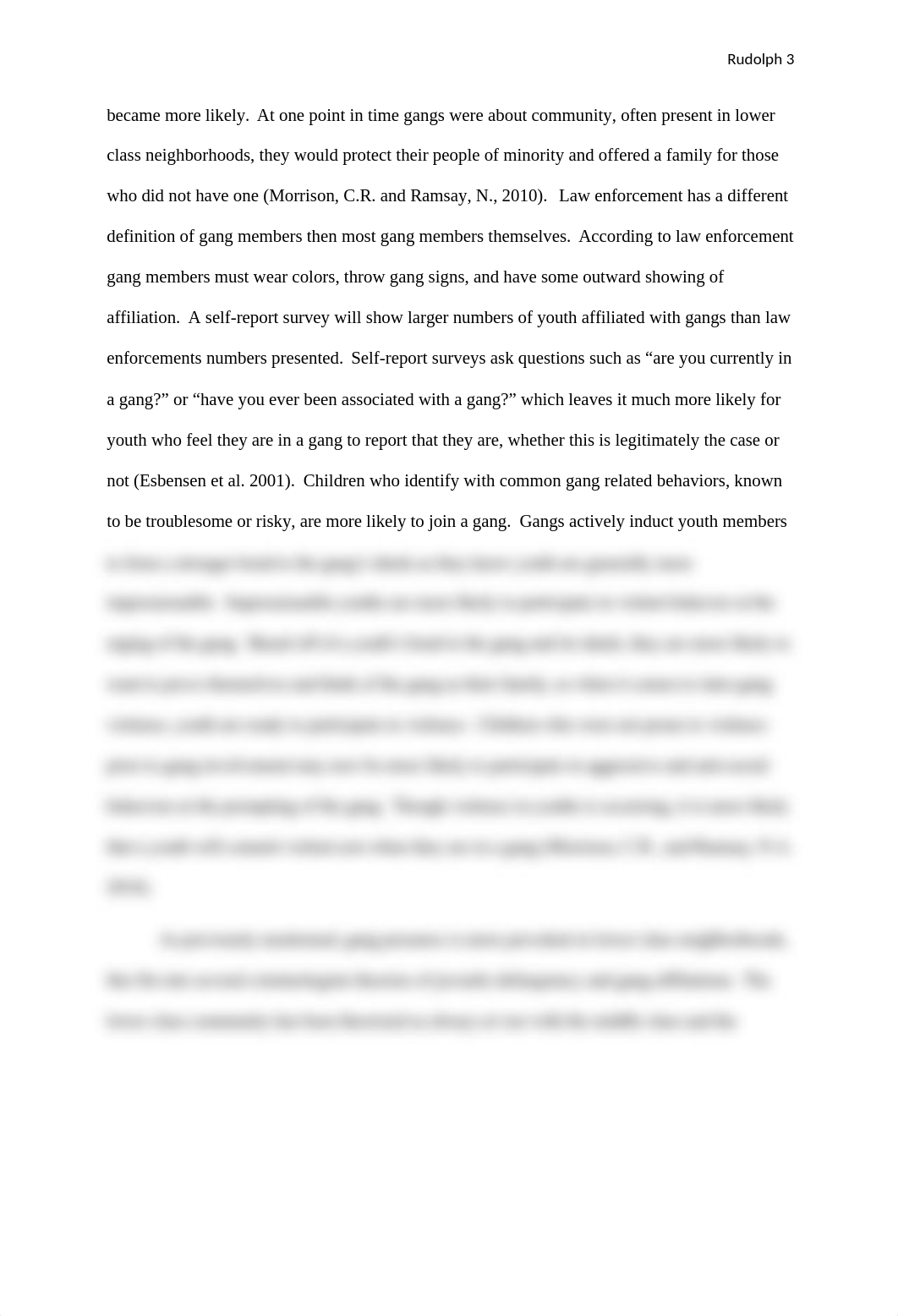 Juvenile Delinquency and Gangs Final Paper.docx_dioogiqd38w_page3