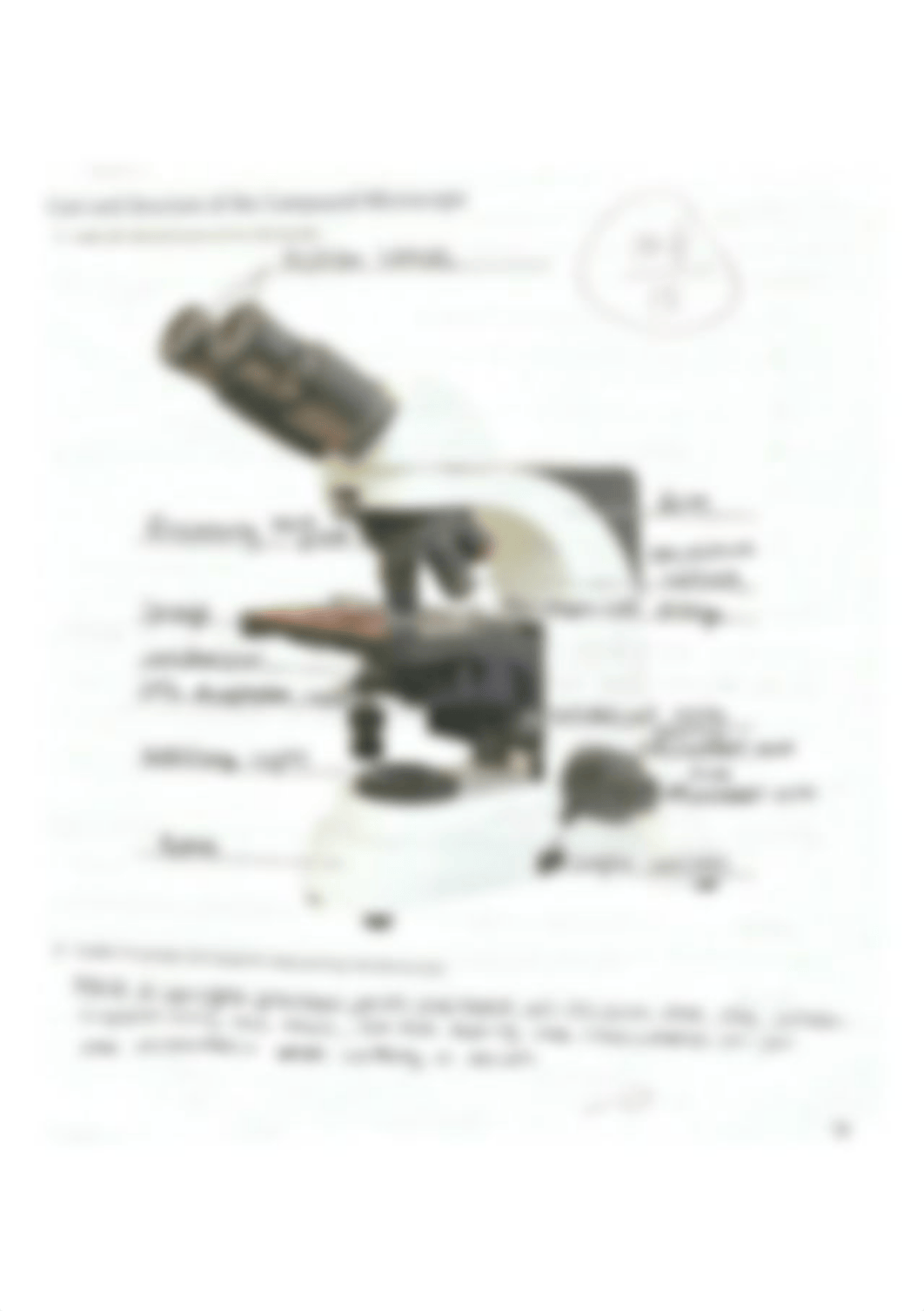 Care and Structure of the Compound Microscope 1.jpg_diopw8zf7bq_page1