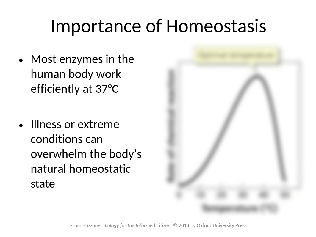 Chapter 11 Lecture Notes.ppt_diovg13ydeu_page5