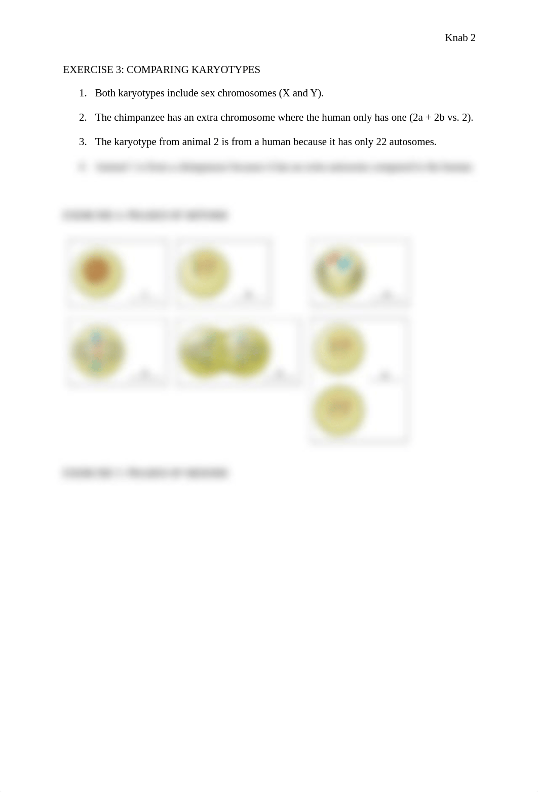 LAB 2_ Genetics.pdf_dioxsalx2f2_page2