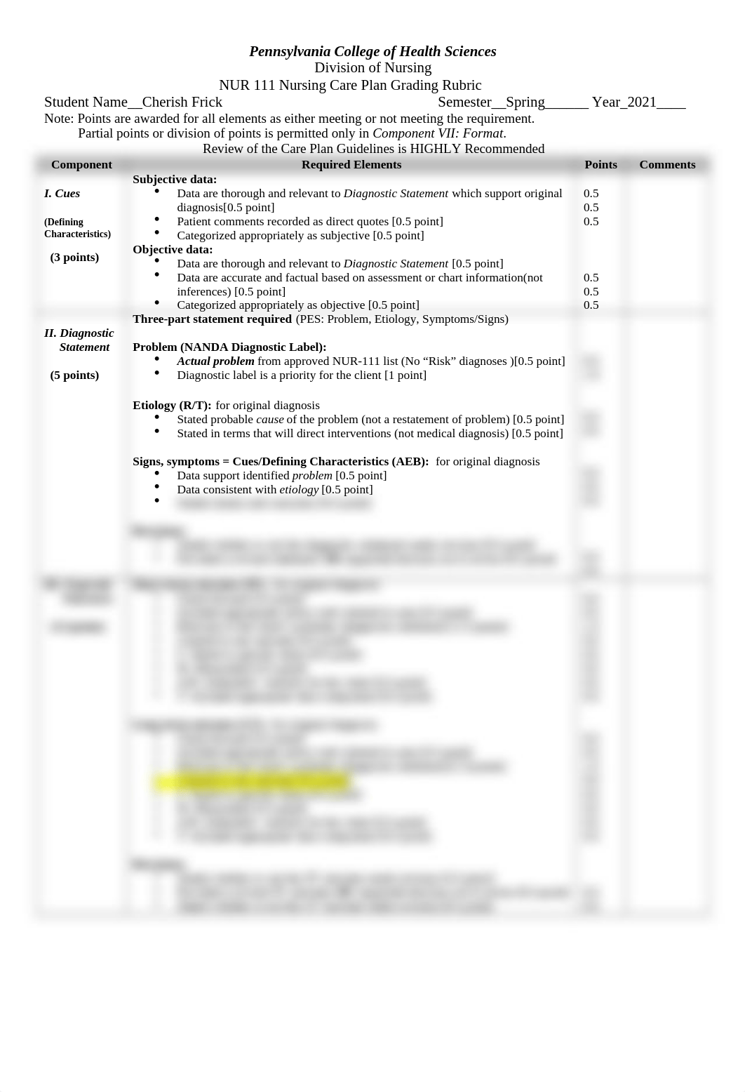 CF - Care Plan Rubric.docx_dip043bhrbm_page1