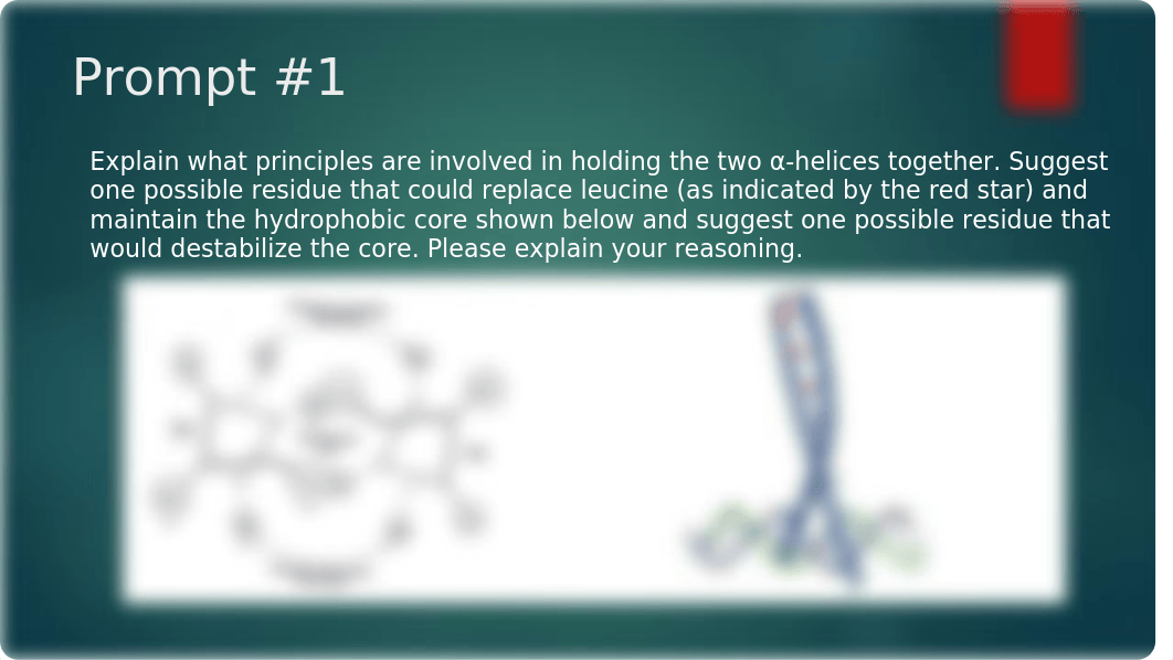 GAP Week 1 Leucine Zipper.pptx_dip0kj0h9nk_page2