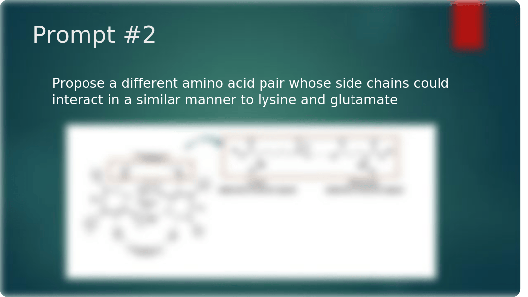 GAP Week 1 Leucine Zipper.pptx_dip0kj0h9nk_page5