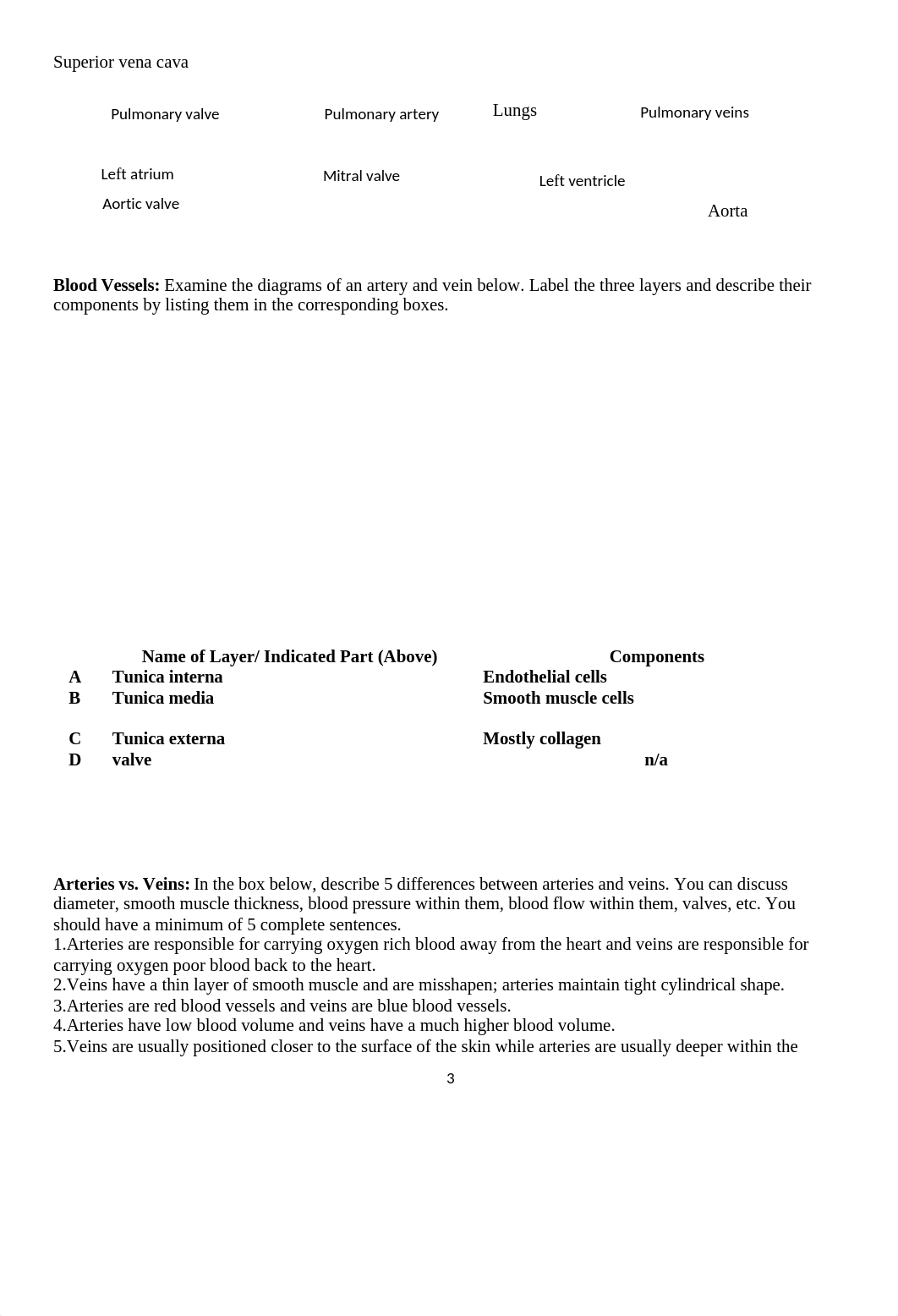 Lab 6 Cardiovascular System(1).docx_dip1d5ffi7g_page3