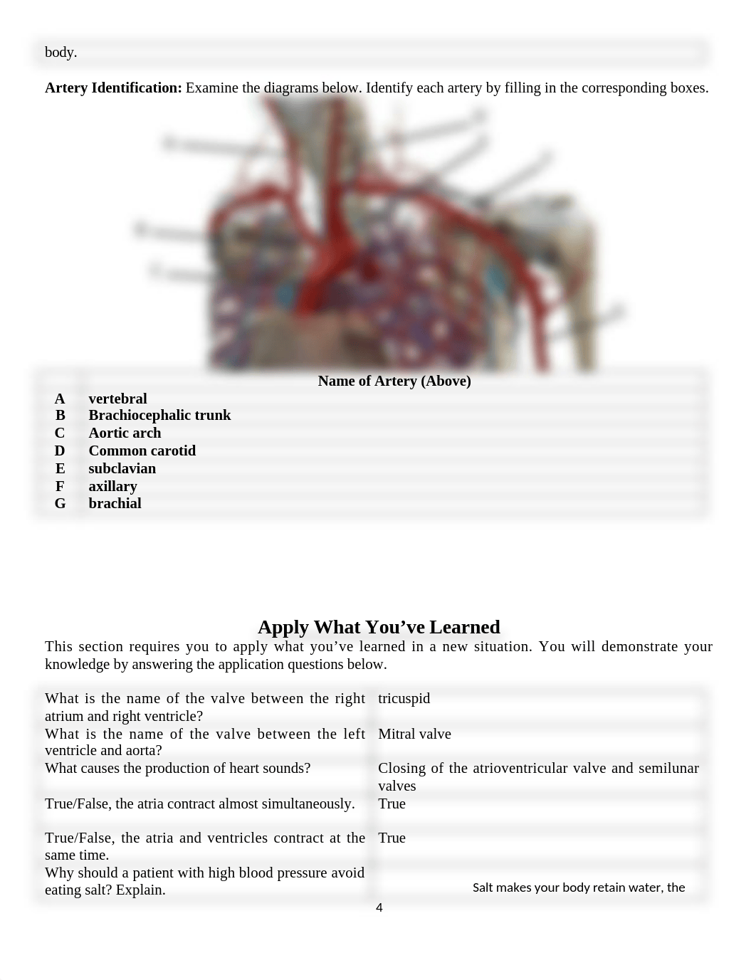 Lab 6 Cardiovascular System(1).docx_dip1d5ffi7g_page4