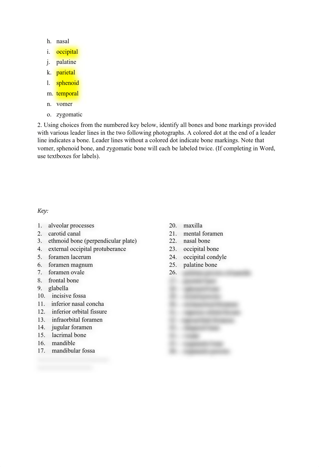 Ex09 Review sheet - The Axial Skeleton.pdf_dip4y4dp7ih_page2