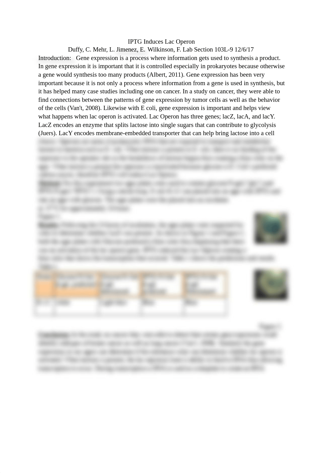 Lac Operon Regulation Lab Report.docx_dip5gs650hr_page1