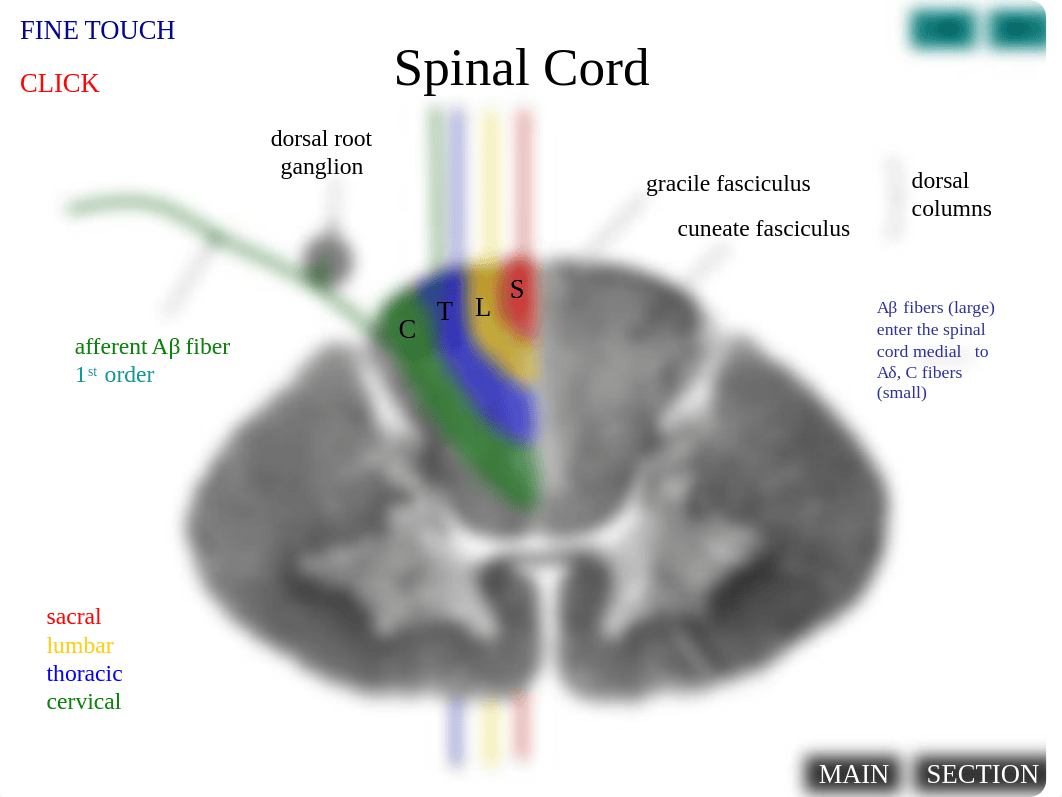 NeuroReview.ppt_dipd7p4vaa9_page4