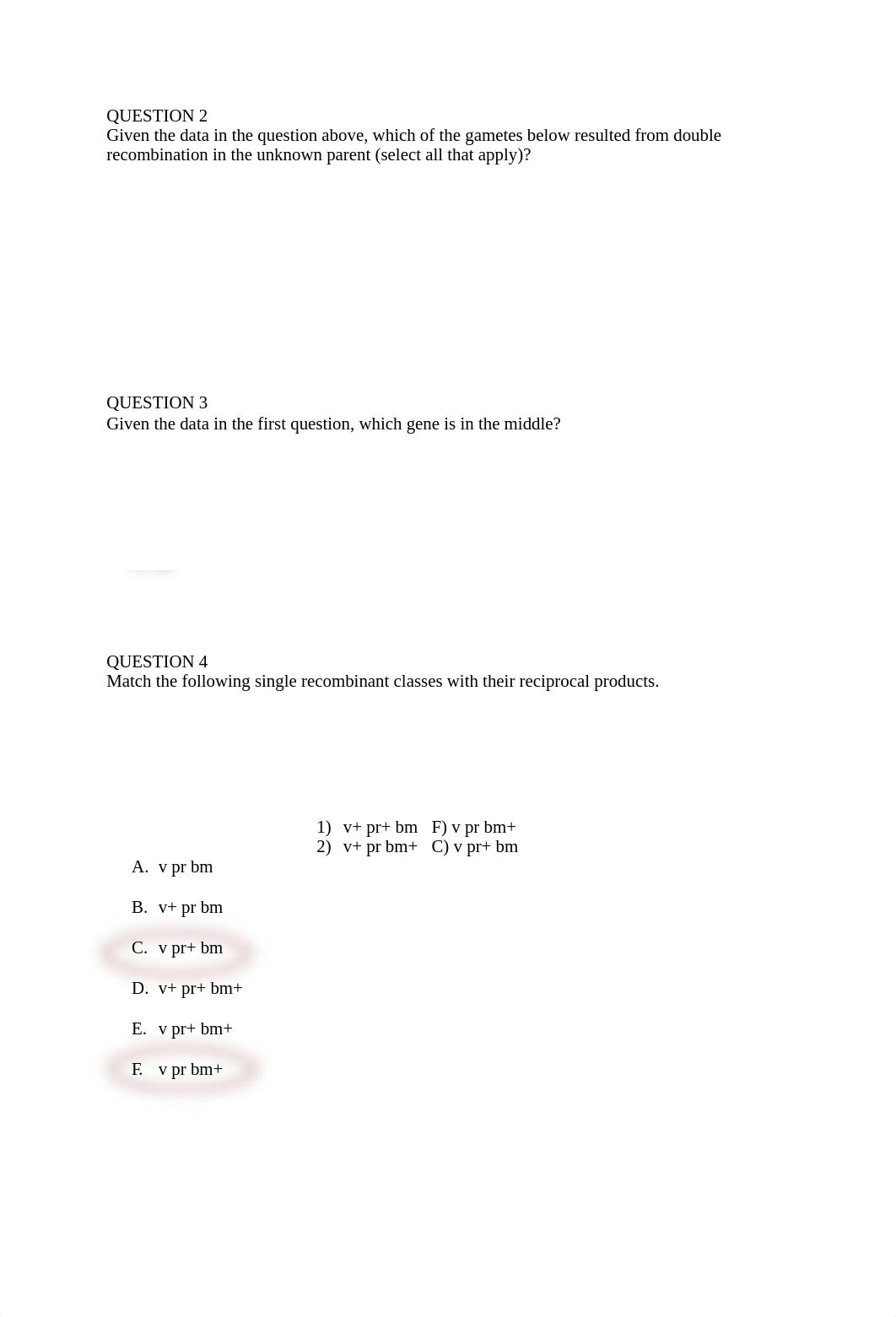 Genetics HW 4.docx_dipeo9mba30_page2