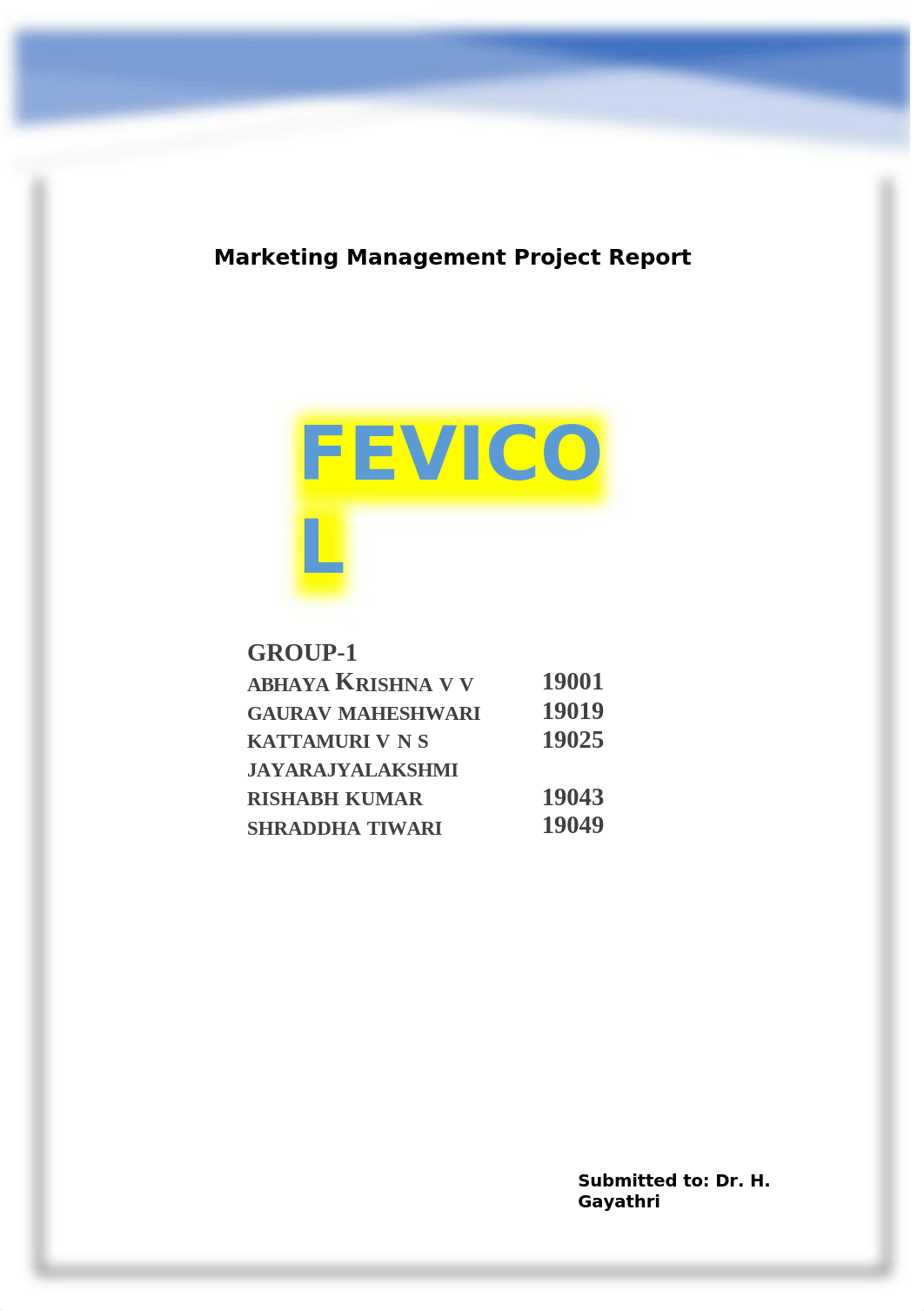 fevicol report.docx_dipk18208od_page1