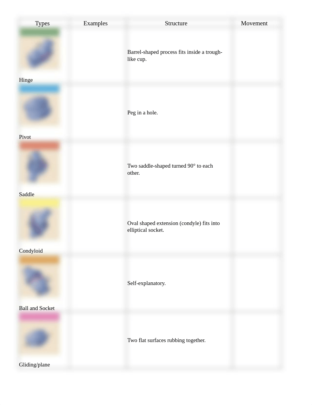 8 Synovial joints POGIL.pdf_diptg4zd1po_page1