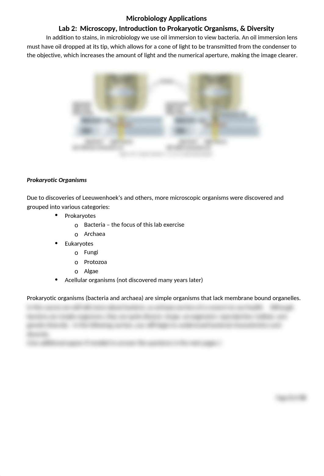 2- Prokaryotic Organisms copy.docx_diqgucmee7l_page2