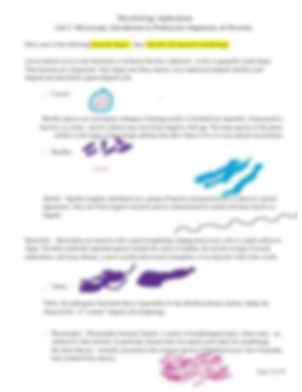 2- Prokaryotic Organisms copy.docx_diqgucmee7l_page3