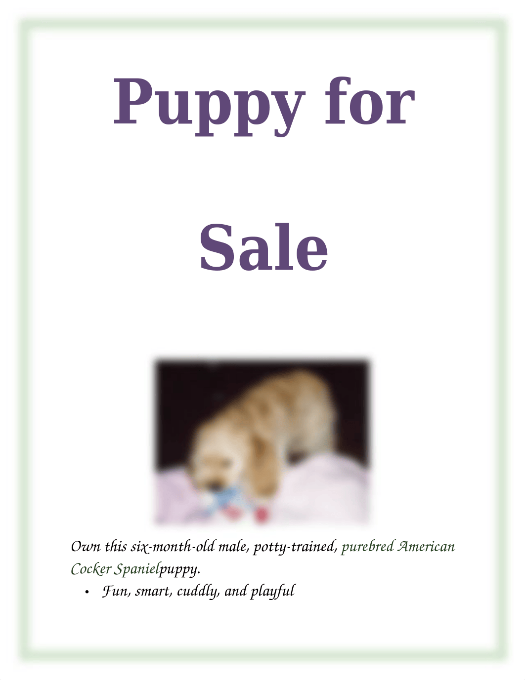 Lab 1-1 Puppy for Sale Flyer_diqiw47r30i_page1