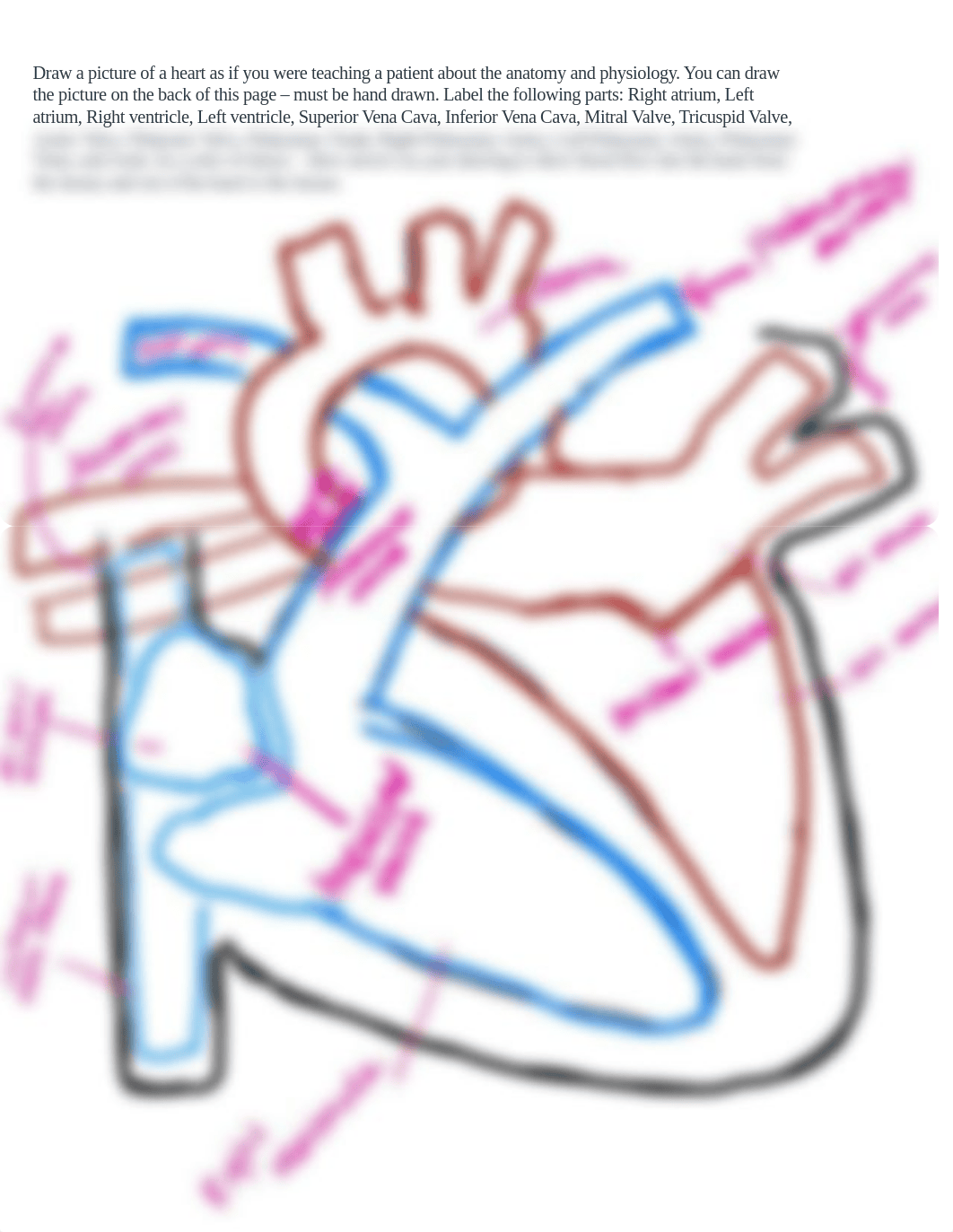 Cardiac Quiz Drawing .pdf_diqm1k7wqbl_page1