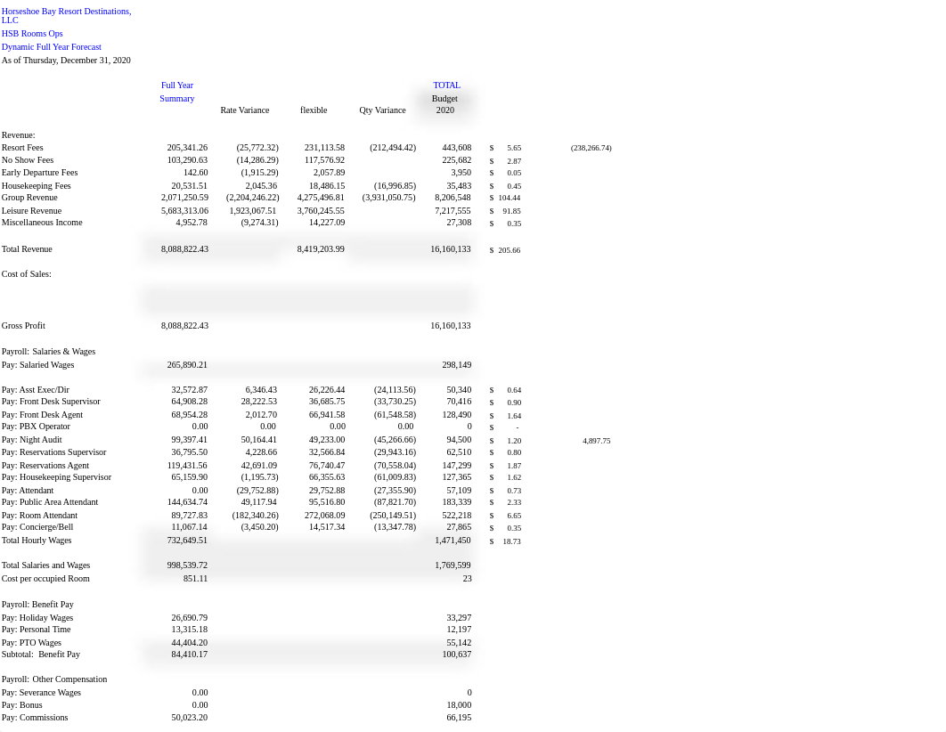 Hoseshoe Bay Case.xlsx_diqmzqaiagj_page1