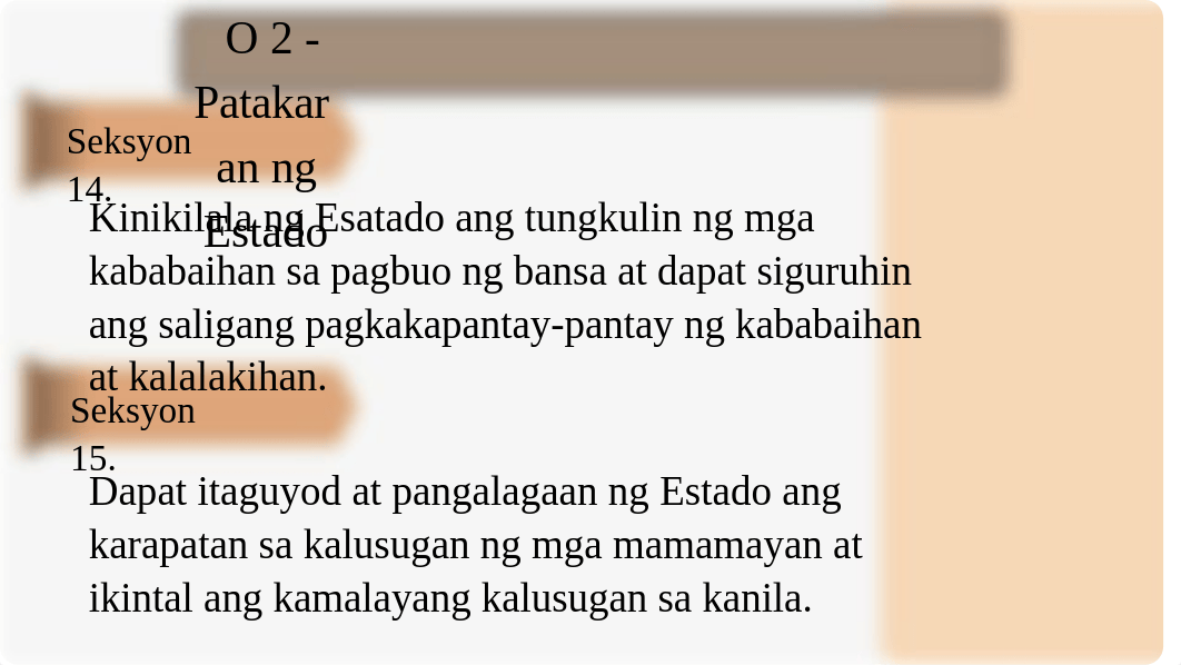 Mga-Patakaran-ng-Estado-sa-Pangangalaga-sa-Karapatan.pptx_diqqdzo7t3z_page4