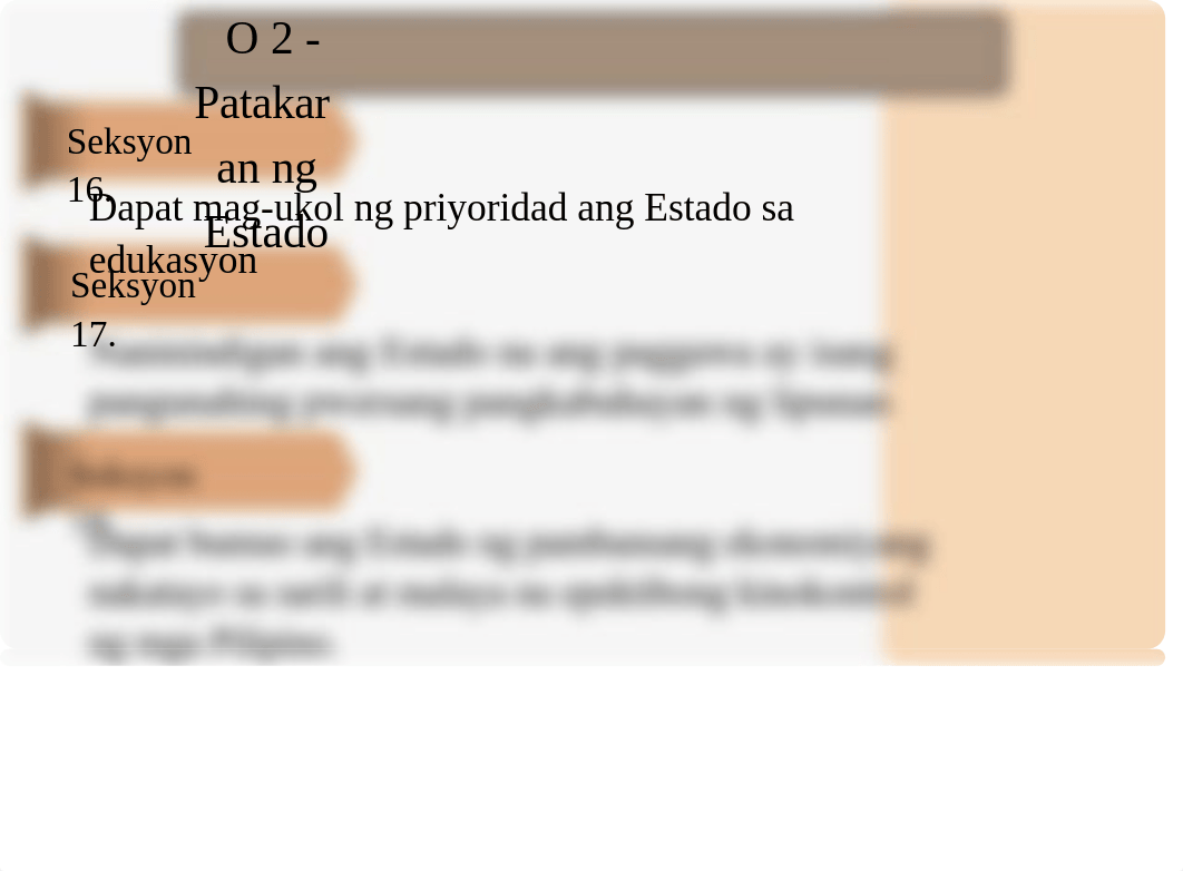 Mga-Patakaran-ng-Estado-sa-Pangangalaga-sa-Karapatan.pptx_diqqdzo7t3z_page5