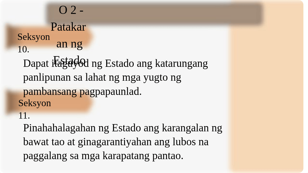 Mga-Patakaran-ng-Estado-sa-Pangangalaga-sa-Karapatan.pptx_diqqdzo7t3z_page2