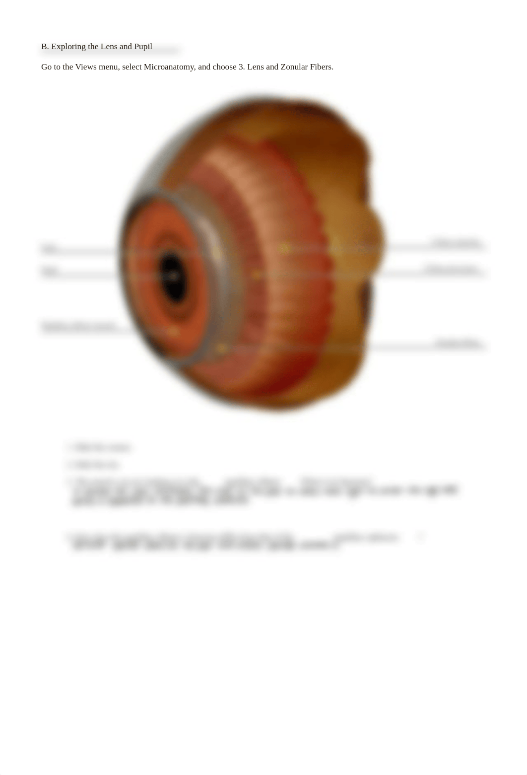 lab manual_senses eye_atlas.pdf_diqqq7r1q7j_page4