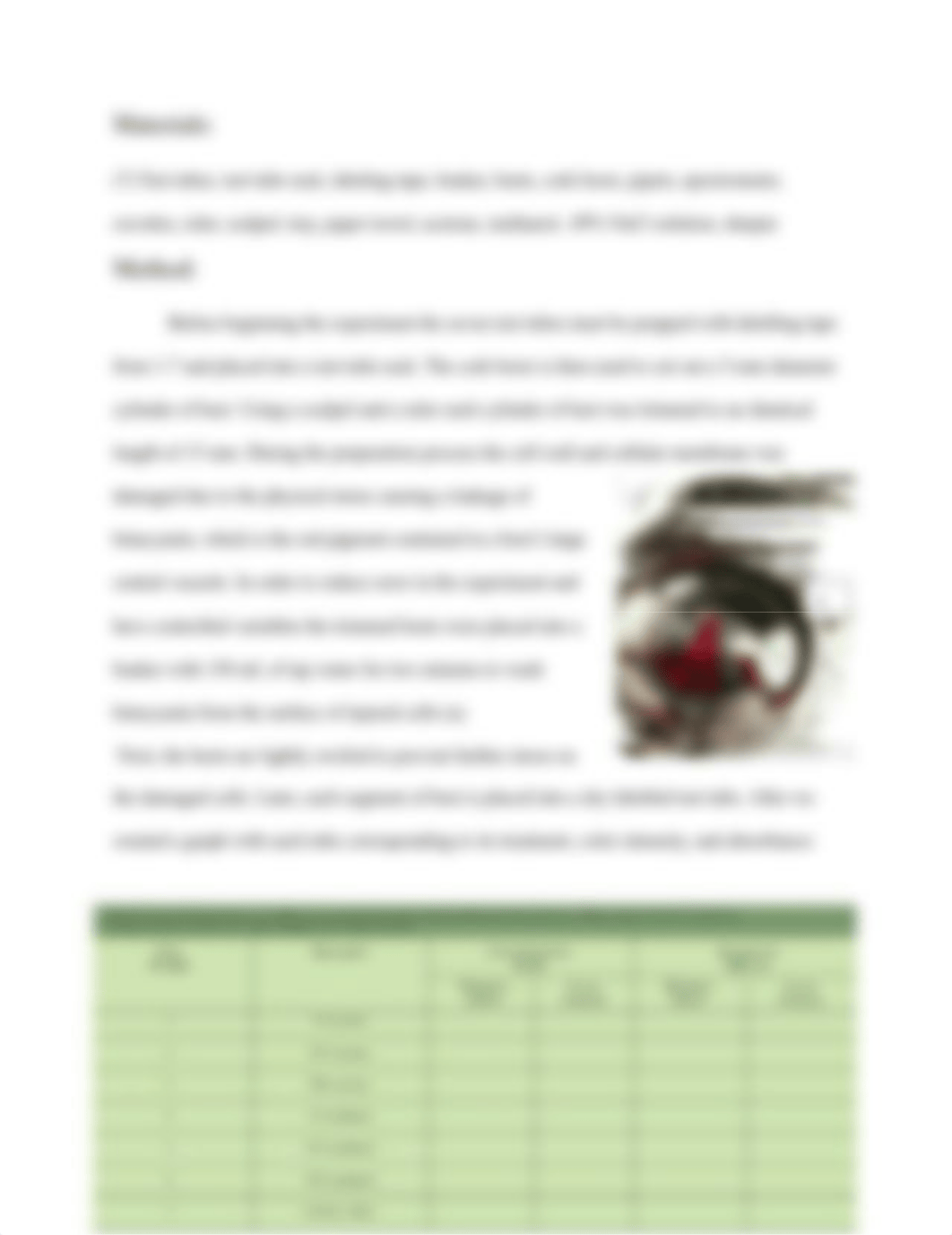 cellular membrane lab.docx_diqvu1ci4o4_page4