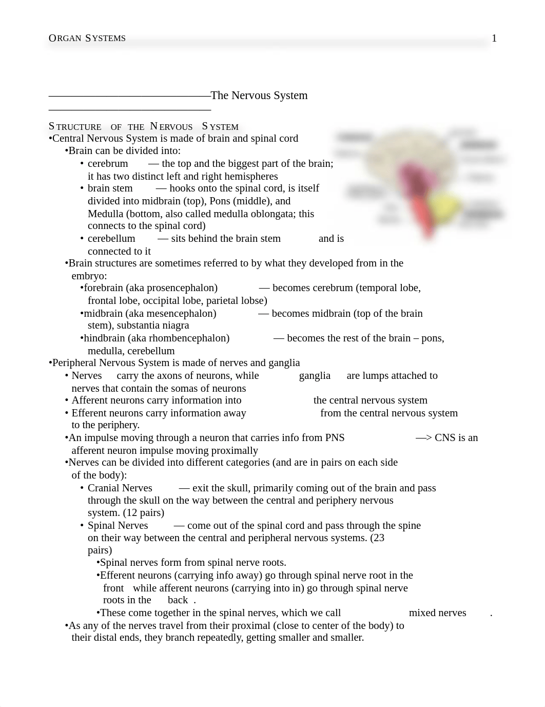 - Organ Systems -.docx_diqxhu1mzoo_page1