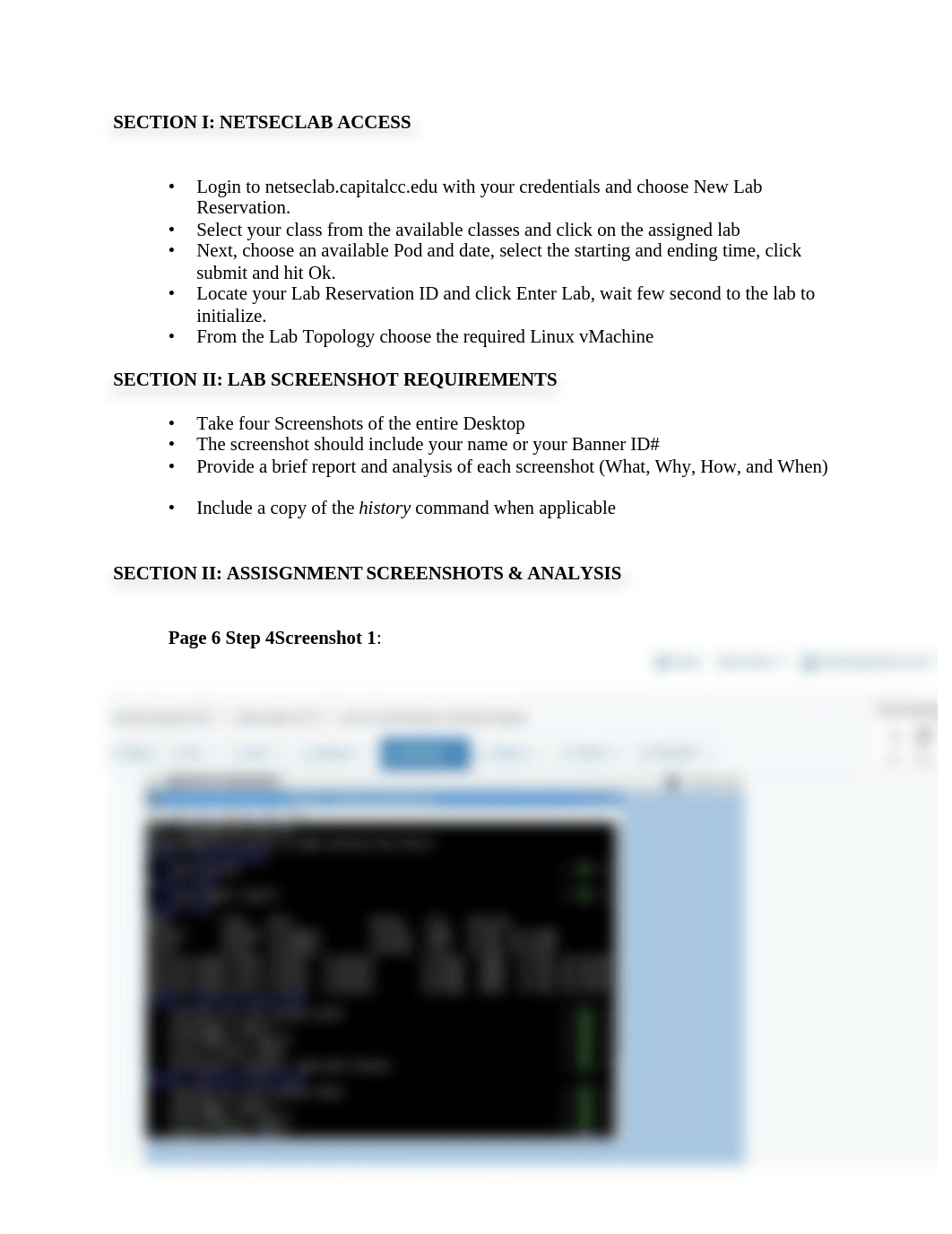 CH6 Lab 16- Connecting to a Remote System Lab Worksheet 2.docx_dir4fpzhans_page2