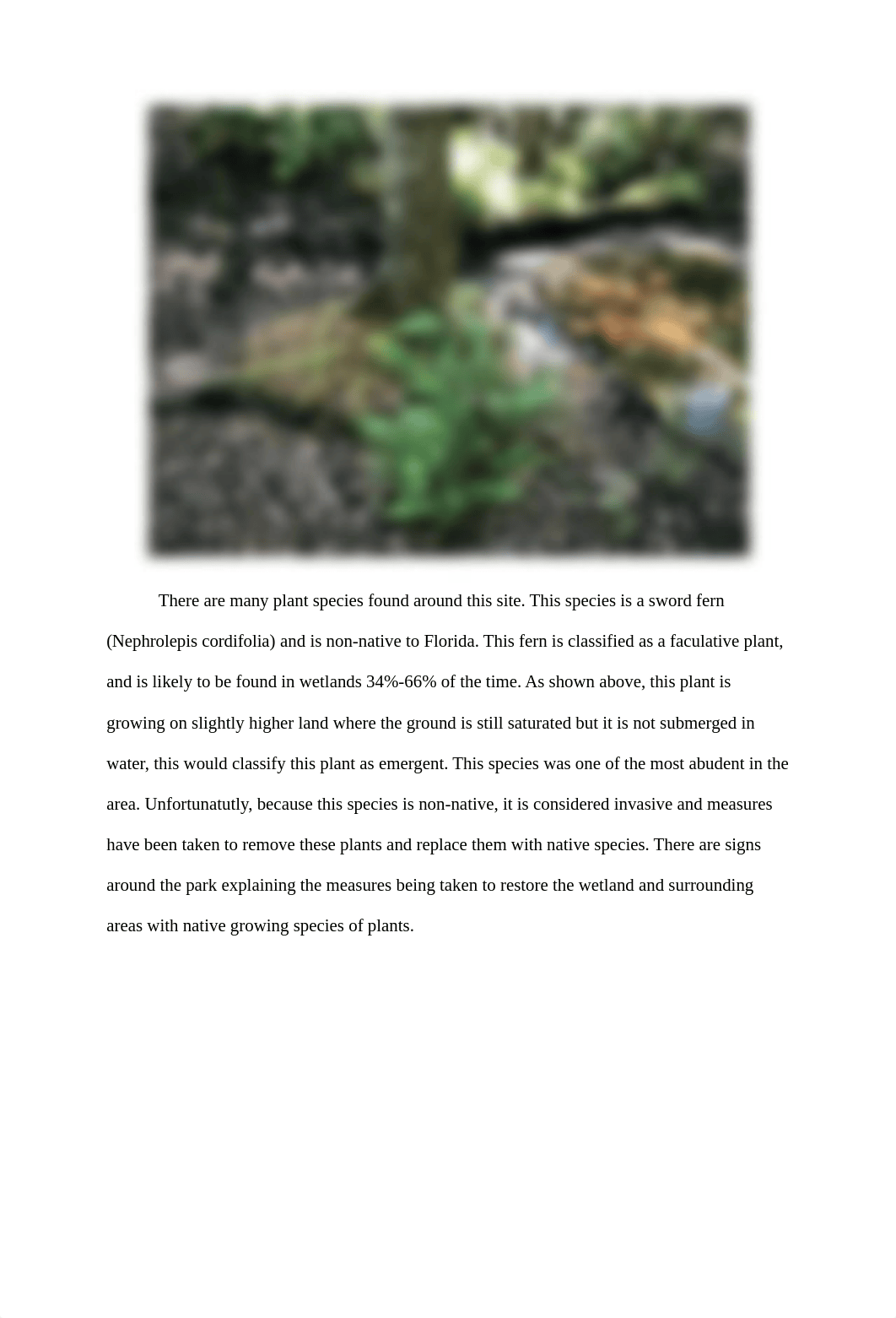 USF_EVR_WETLAND_PROJECT.docx_dir6c6jfsko_page3