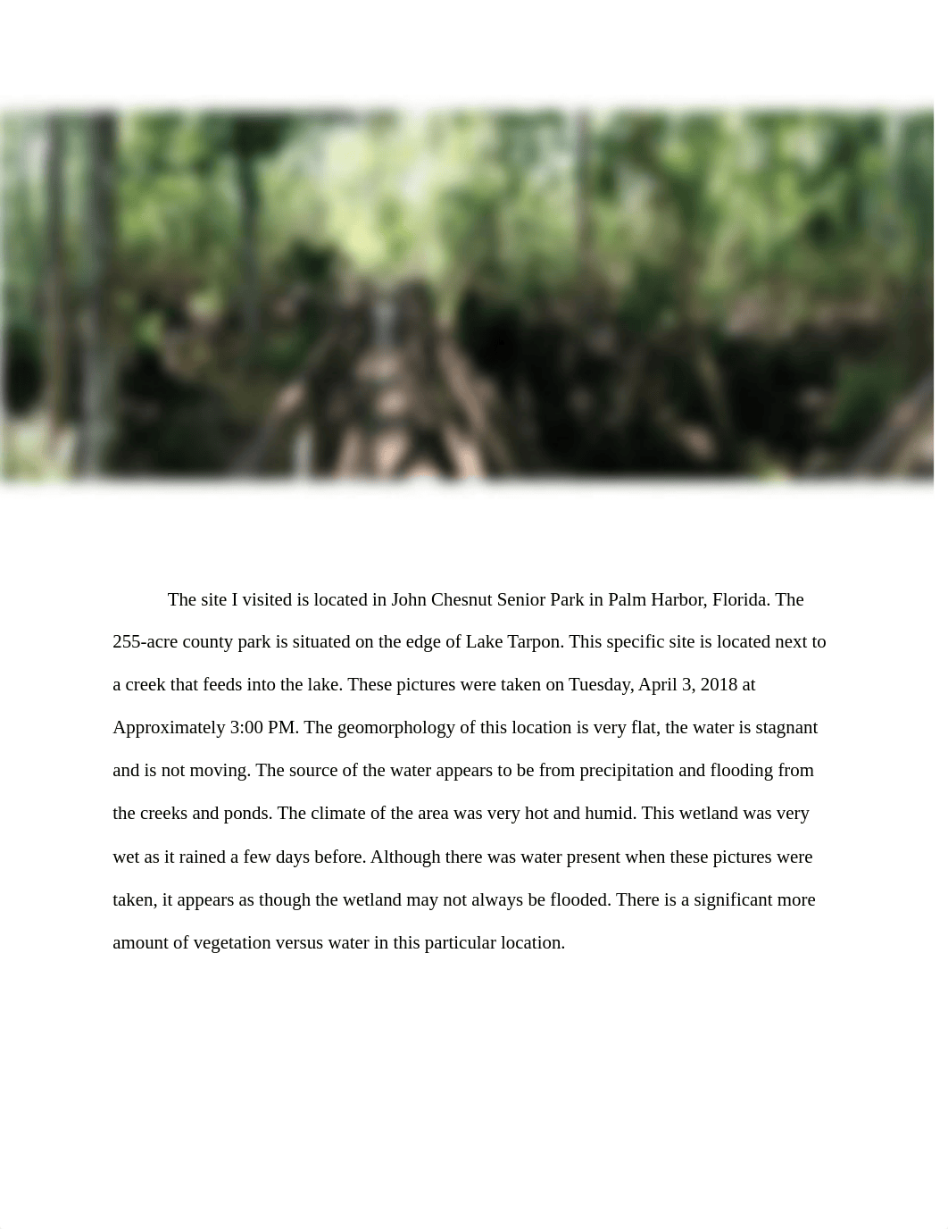 USF_EVR_WETLAND_PROJECT.docx_dir6c6jfsko_page2