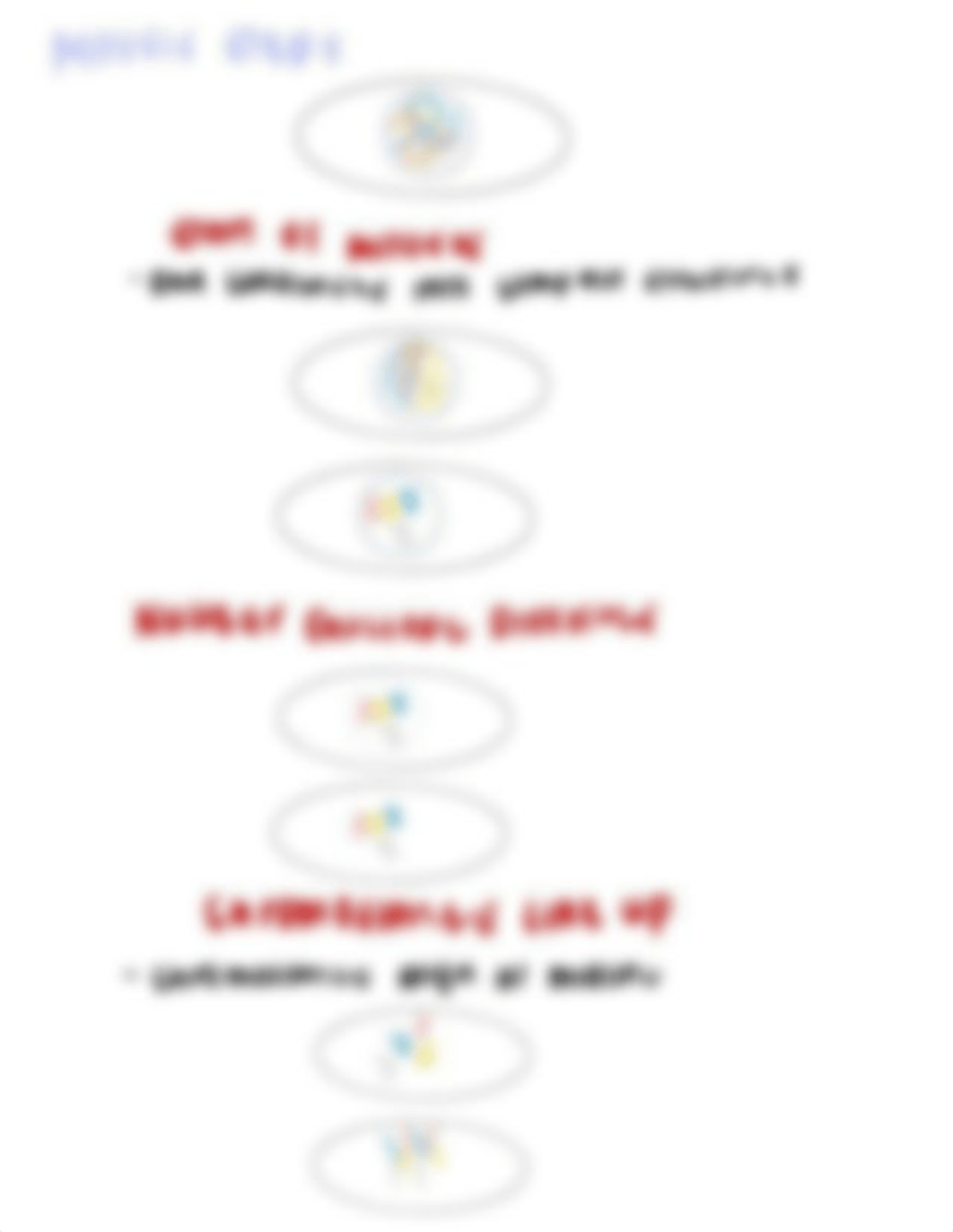 Mitosis SIMBIO Notes.pdf_dirbbqc2lav_page3