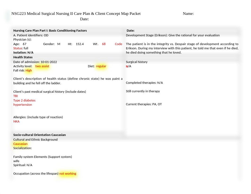 TBI Final care plan.docx_dirhwyg3cxw_page2