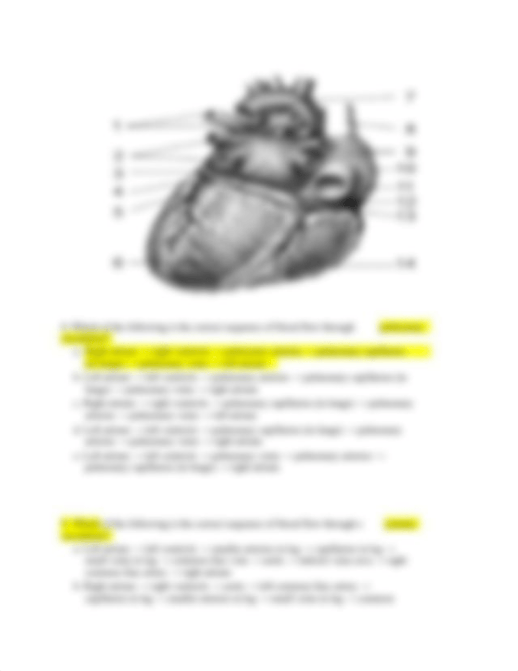 Chapter 44 and 46 review sample questions with answers.docx_dirmwcoaxp5_page3