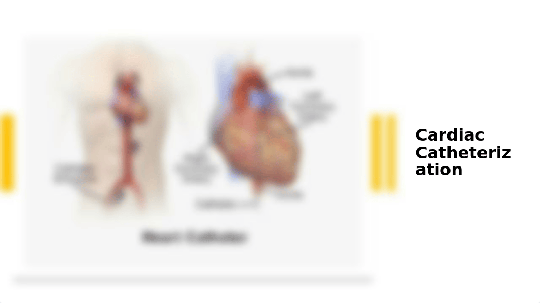 Cardiac Procedures Post-Lecture Fall .pptx_dirsbo7xjqv_page3