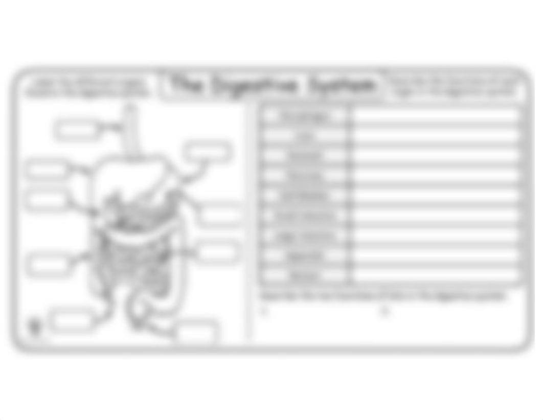 Digestive Labeling.pdf_dirssl8bmf5_page2