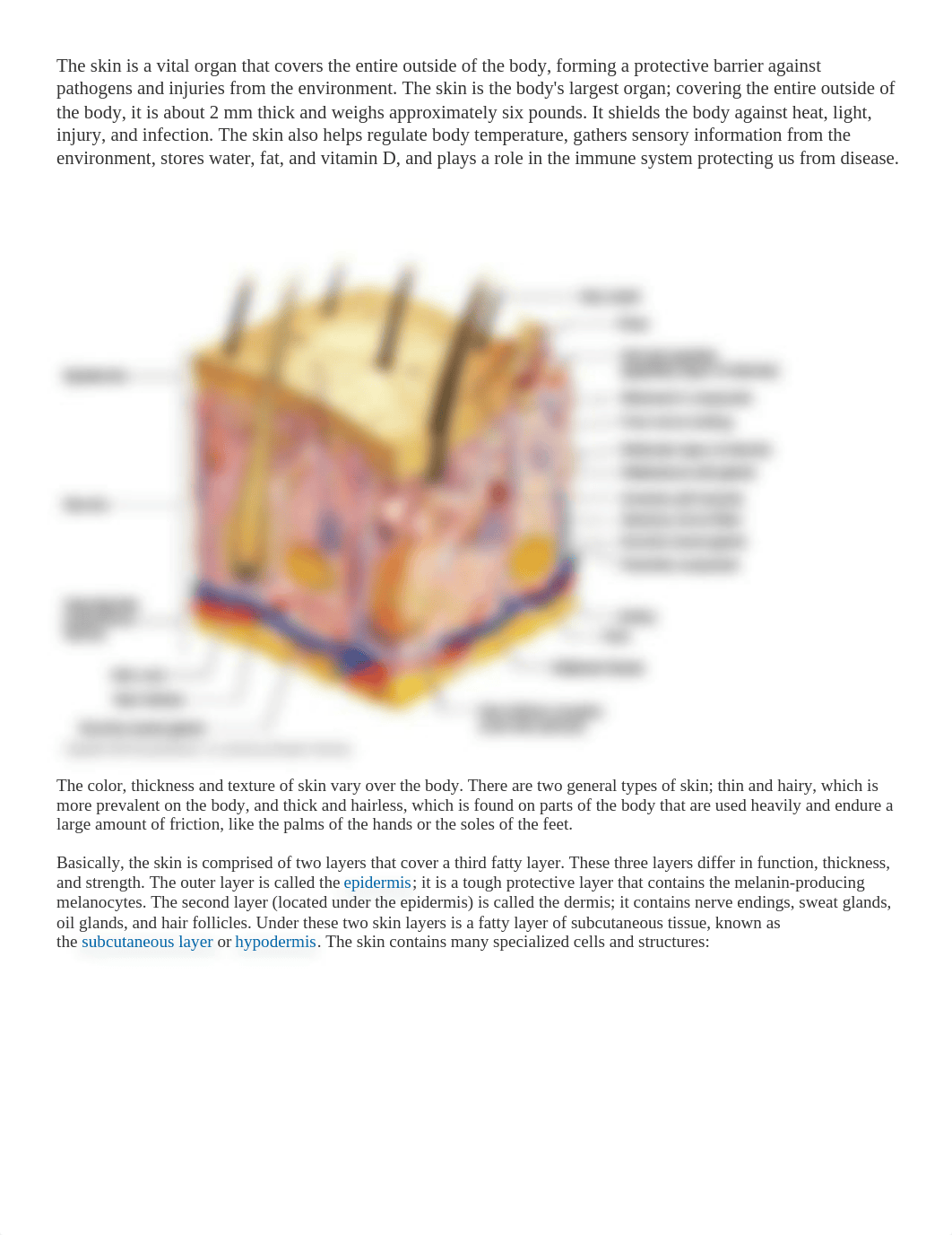 General Biology Skin.docx_dirug1qv9bb_page1