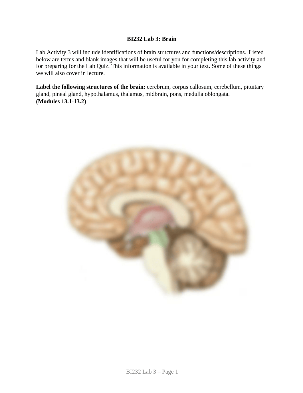 BI232 Lab 3 Packet.docx_dis0wb5kvho_page1