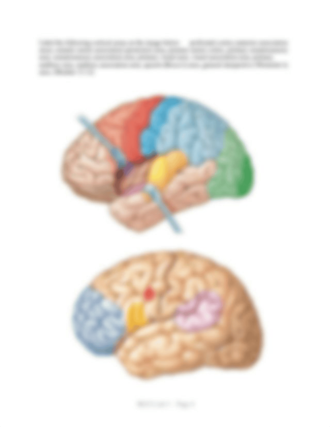 BI232 Lab 3 Packet.docx_dis0wb5kvho_page4