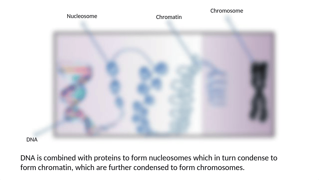 Lab 3.pptx_diskhfqrppt_page5