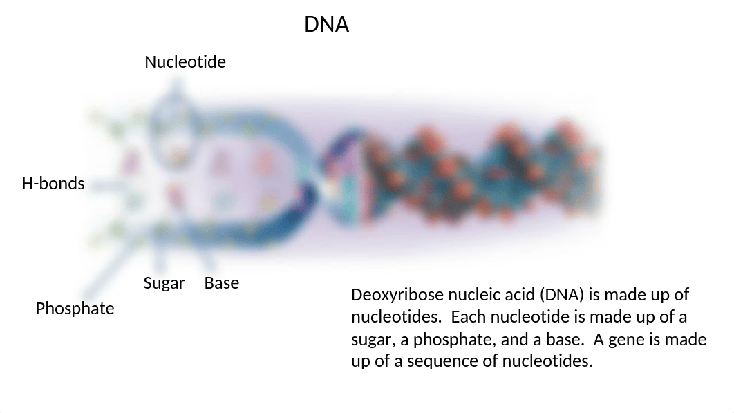 Lab 3.pptx_diskhfqrppt_page4