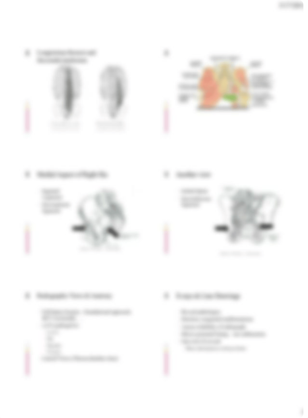 Pelvic Anatomy and X-ray (6 per page)_disv9wmmtft_page3