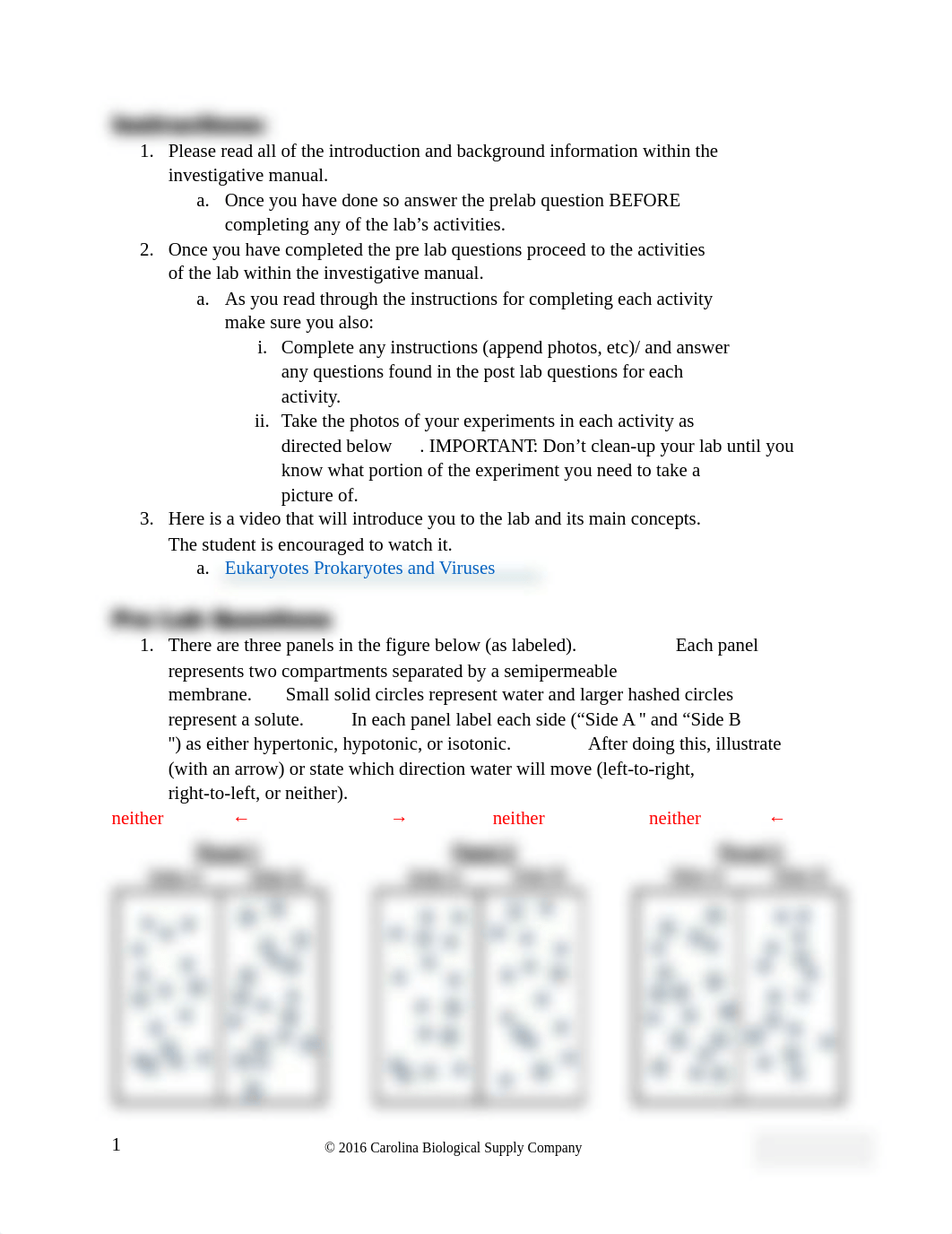 Lab_Report_Eukaryotes_Prokaryotes_and_Viruses (2).pdf_diswbcu024s_page2