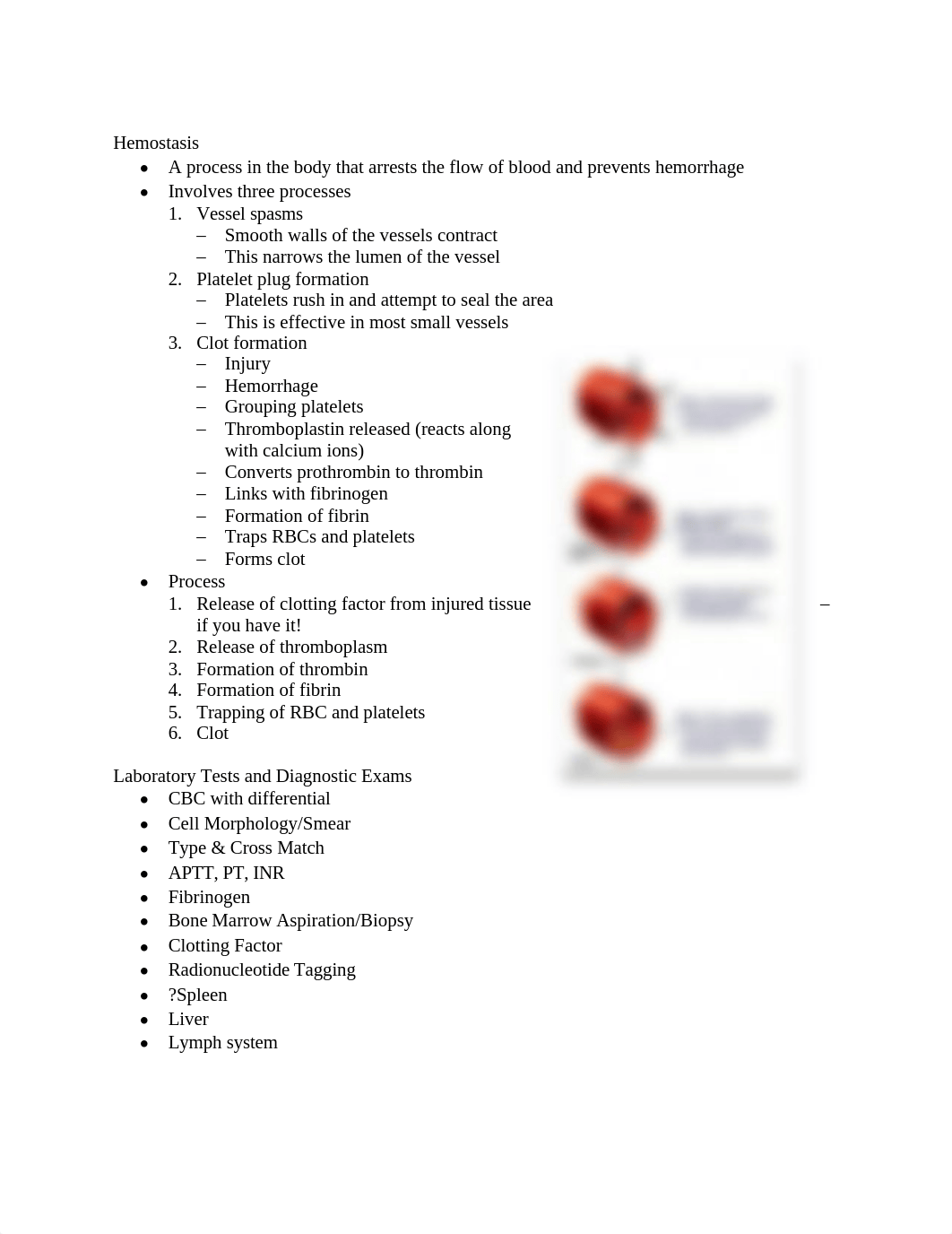 NSG 405 - Hematology and Immunology Notes.doc_diswylfc19w_page2